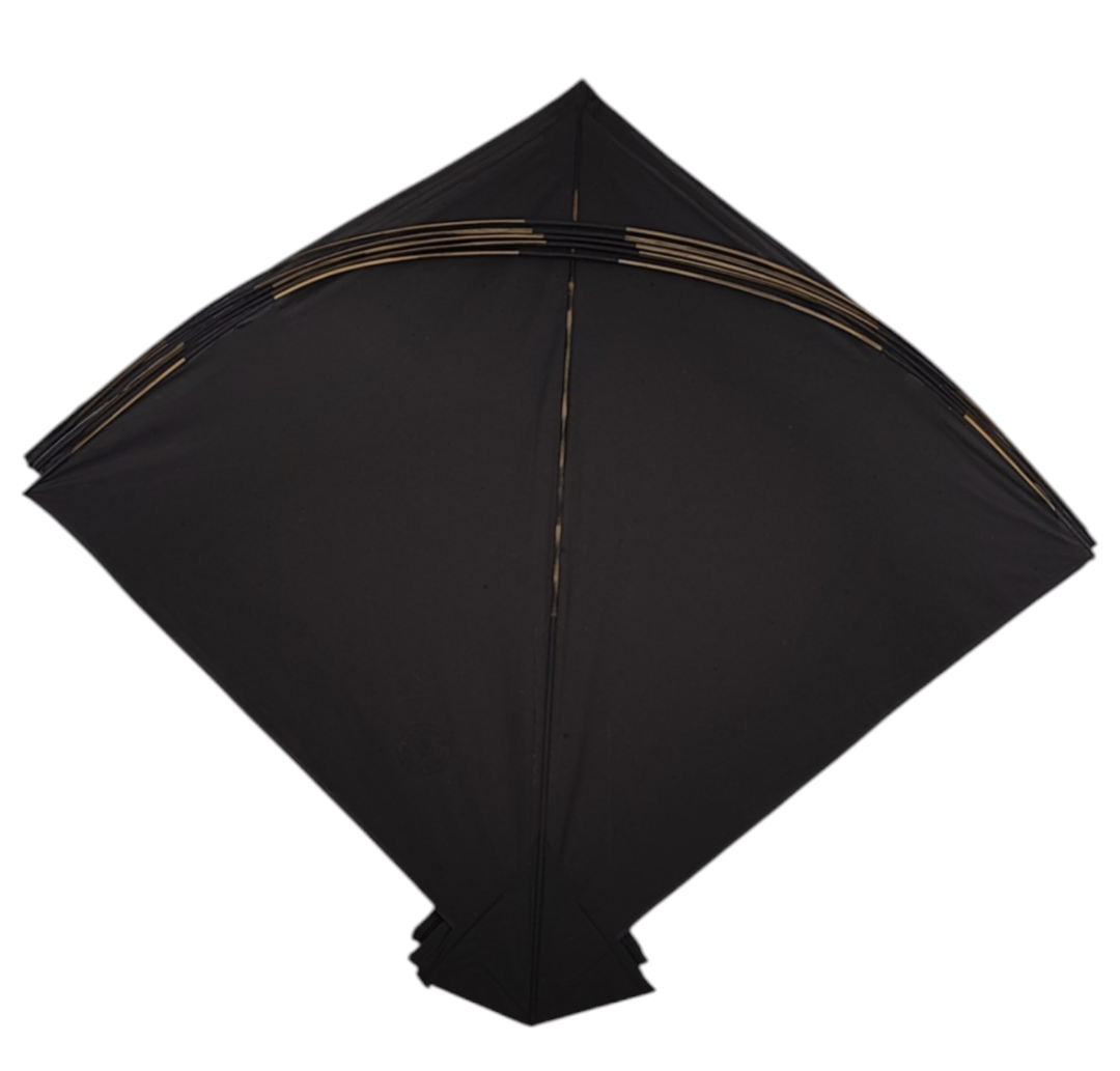 Free 14 kites on Purchase of 60- Mix Branded 74 Addi Kites ( Monu Bali , Babu Anees, RK, Shibu Etc.)