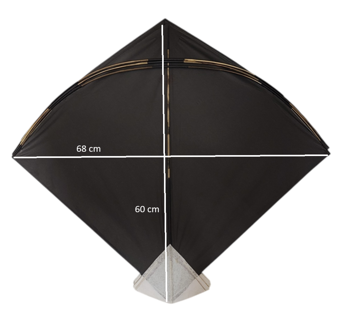 Goal RB Barabamki Pauna 37 Limited edition kites