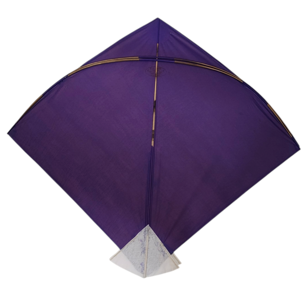 Goal RB Barabamki Pauna 37 Limited edition kites