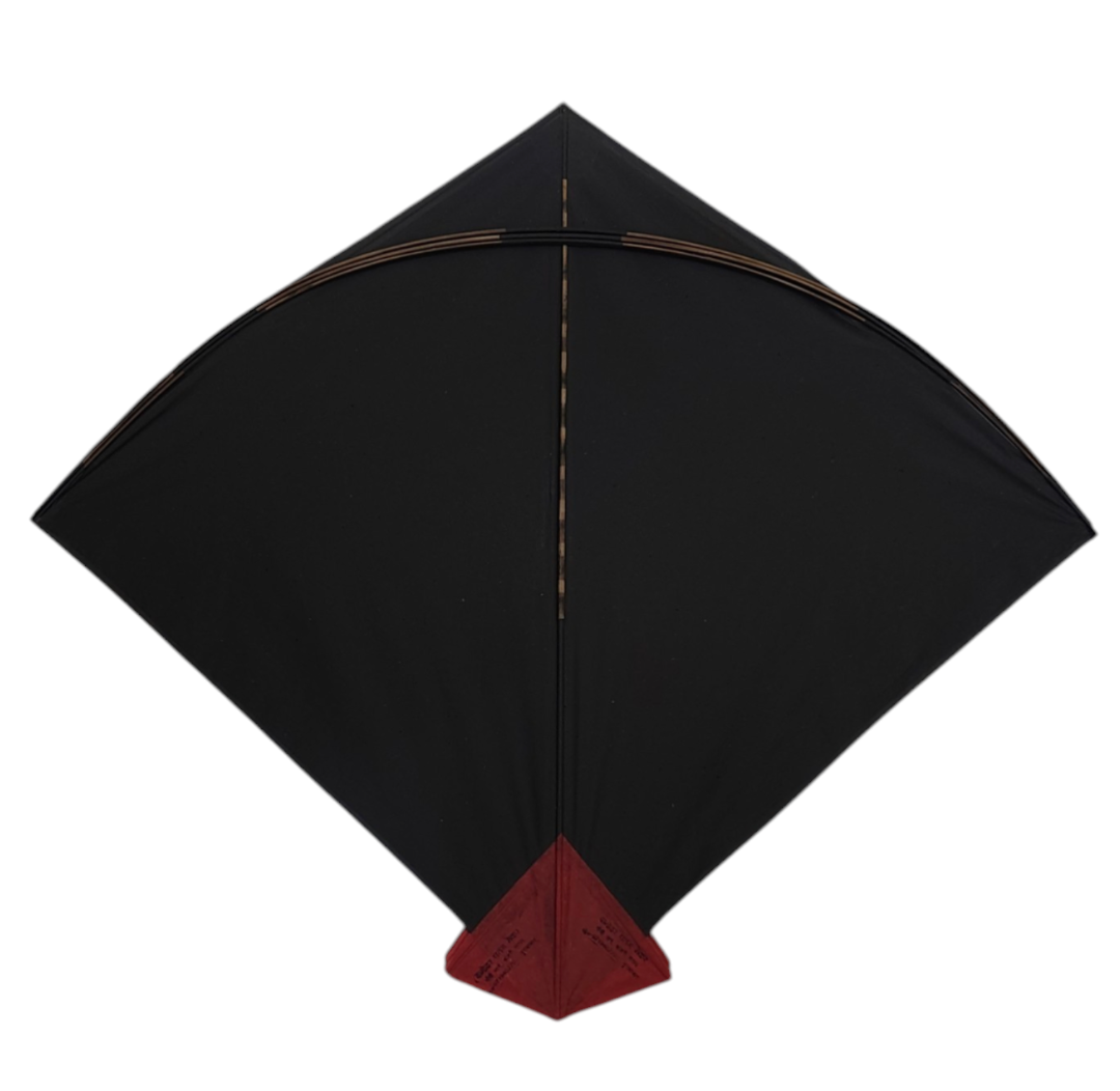 20 pieces goal farma Damodar kites long range kites