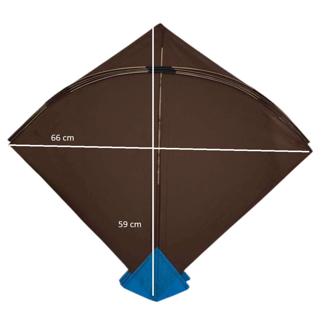 100 + 2 free  Pieces World Famous Pauna  ( 59 x 66 Cm ) Tournament Size
