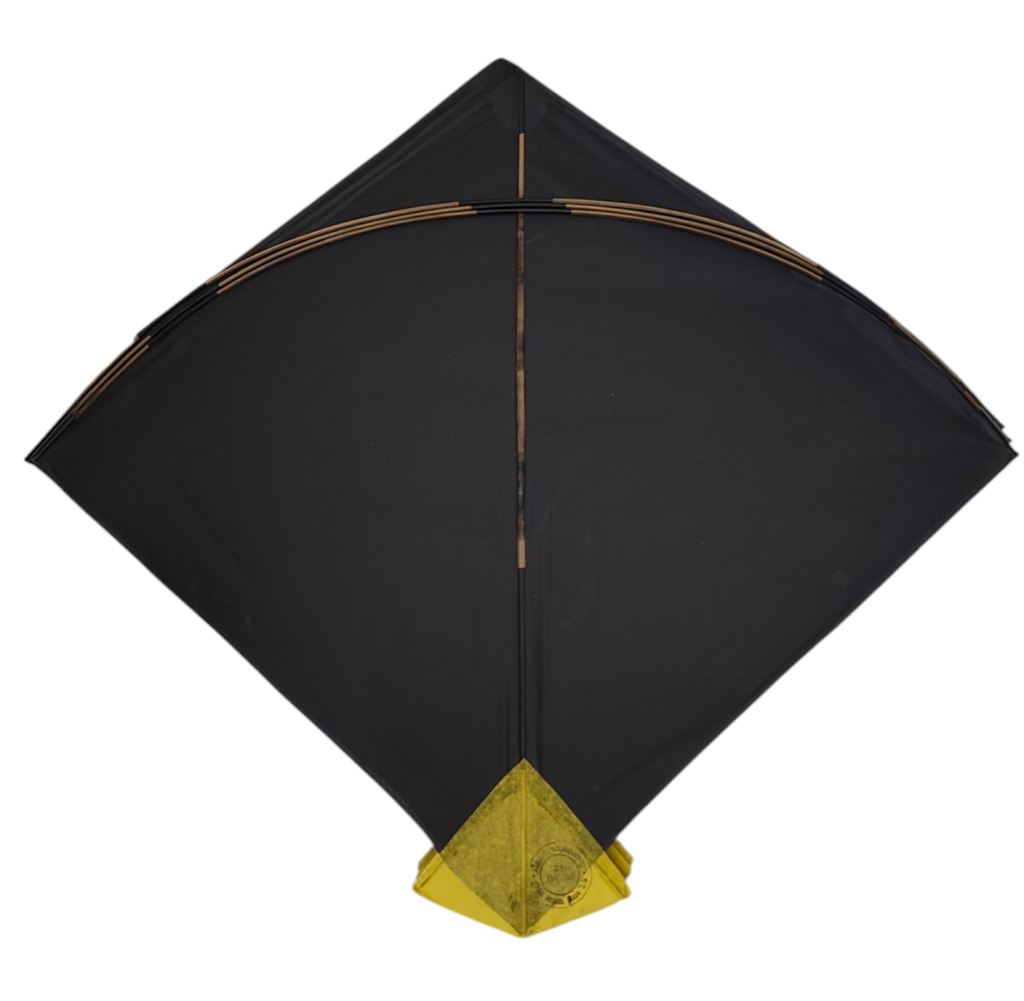 100 + 2 free  Pieces World Famous Pauna  ( 59 x 66 Cm ) Tournament Size