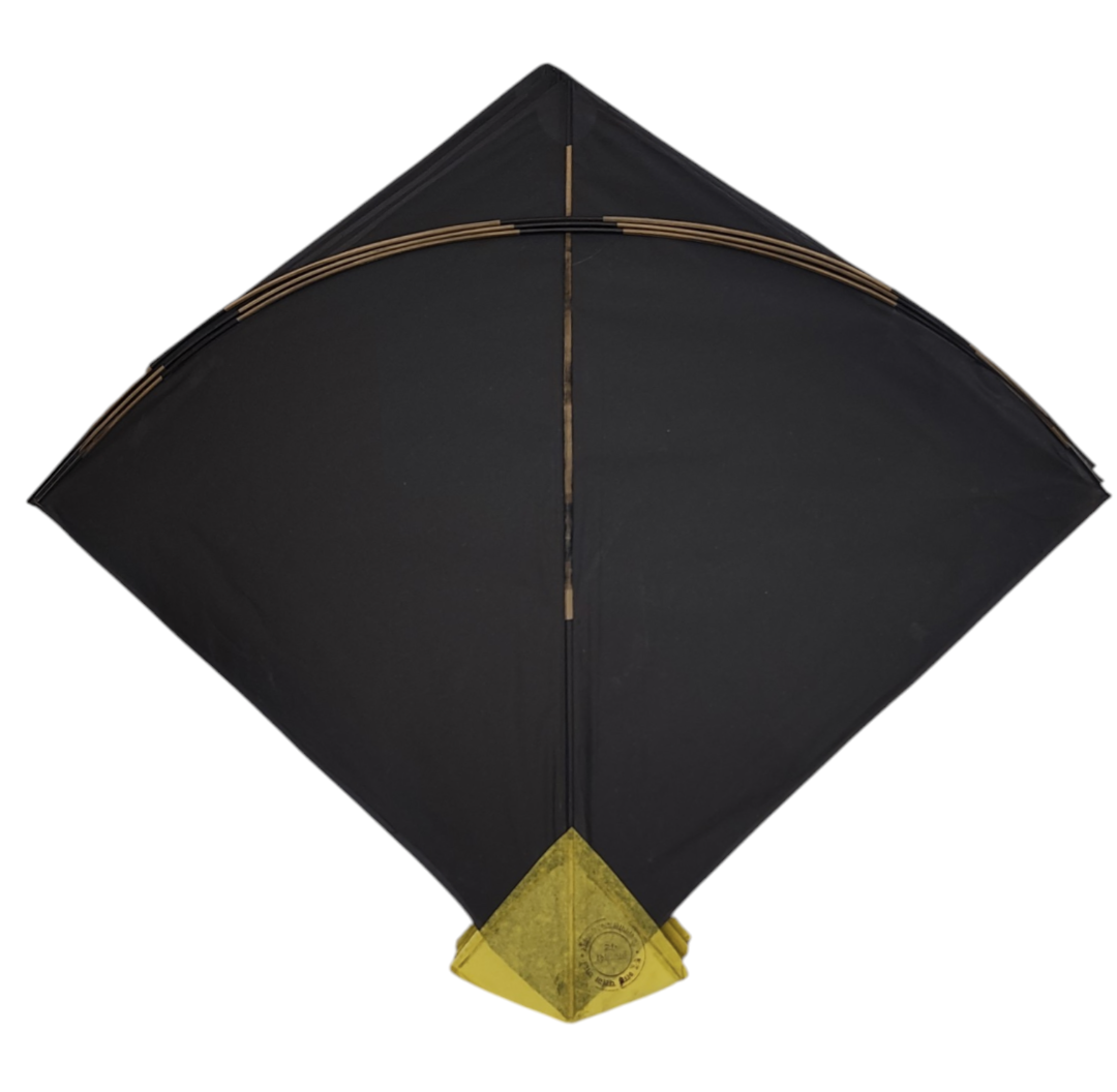 100 + 2 free  Pieces World Famous Pauna  ( 59 x 66 Cm ) Tournament Size