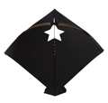 36 + 4 Free Goal Farma White Star  ( 59 x 68 Cm )