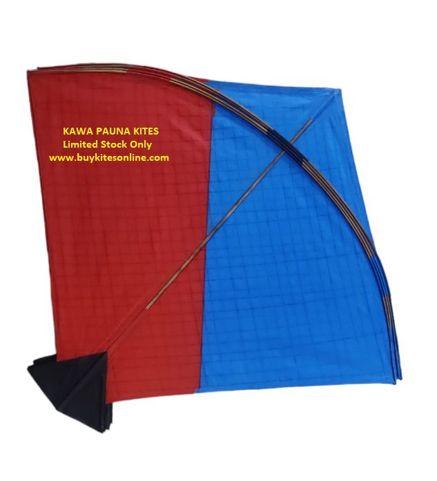 55 Big Rocket ADDI Kites for festivals short range Pulling
